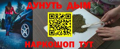сатива Бийск