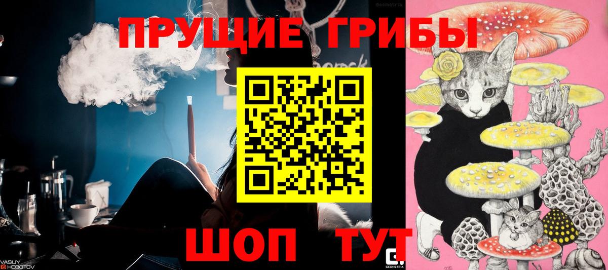 где купить   Псилоцибиновые грибы Psilocybe  Вход с VPN  Кизляр 